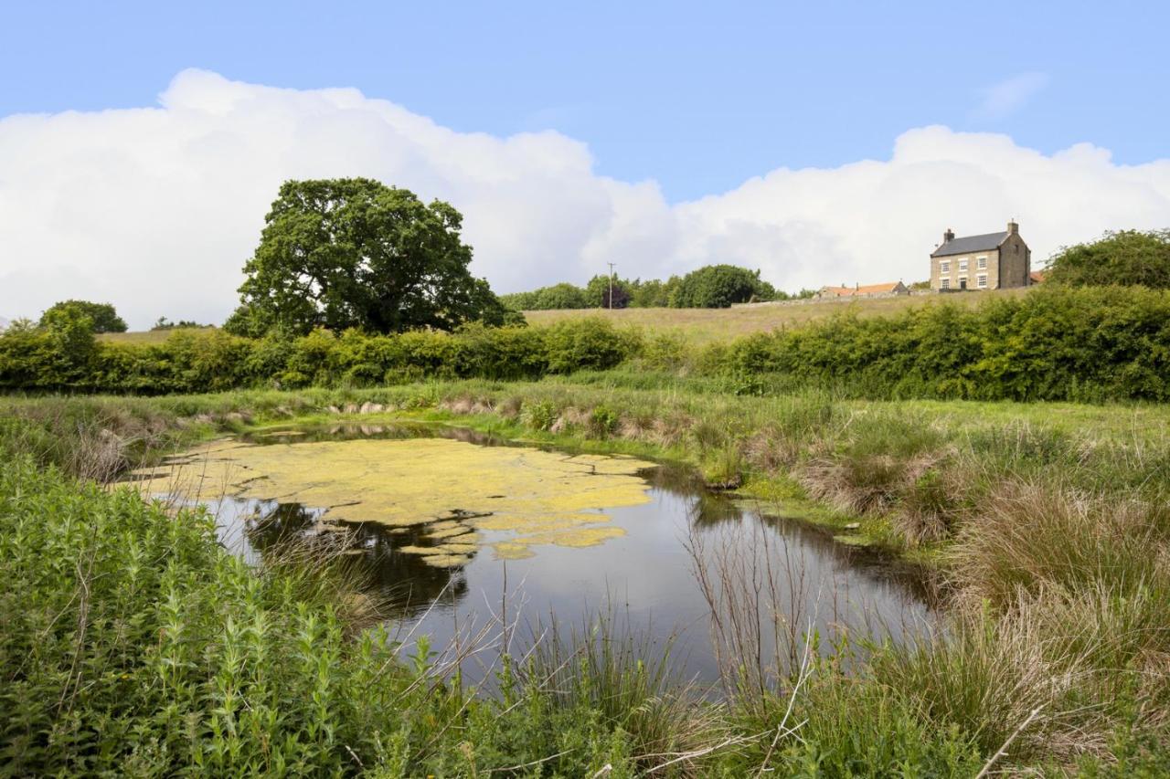 Thirley Cotes Farm Cottages سكرابورو المظهر الخارجي الصورة