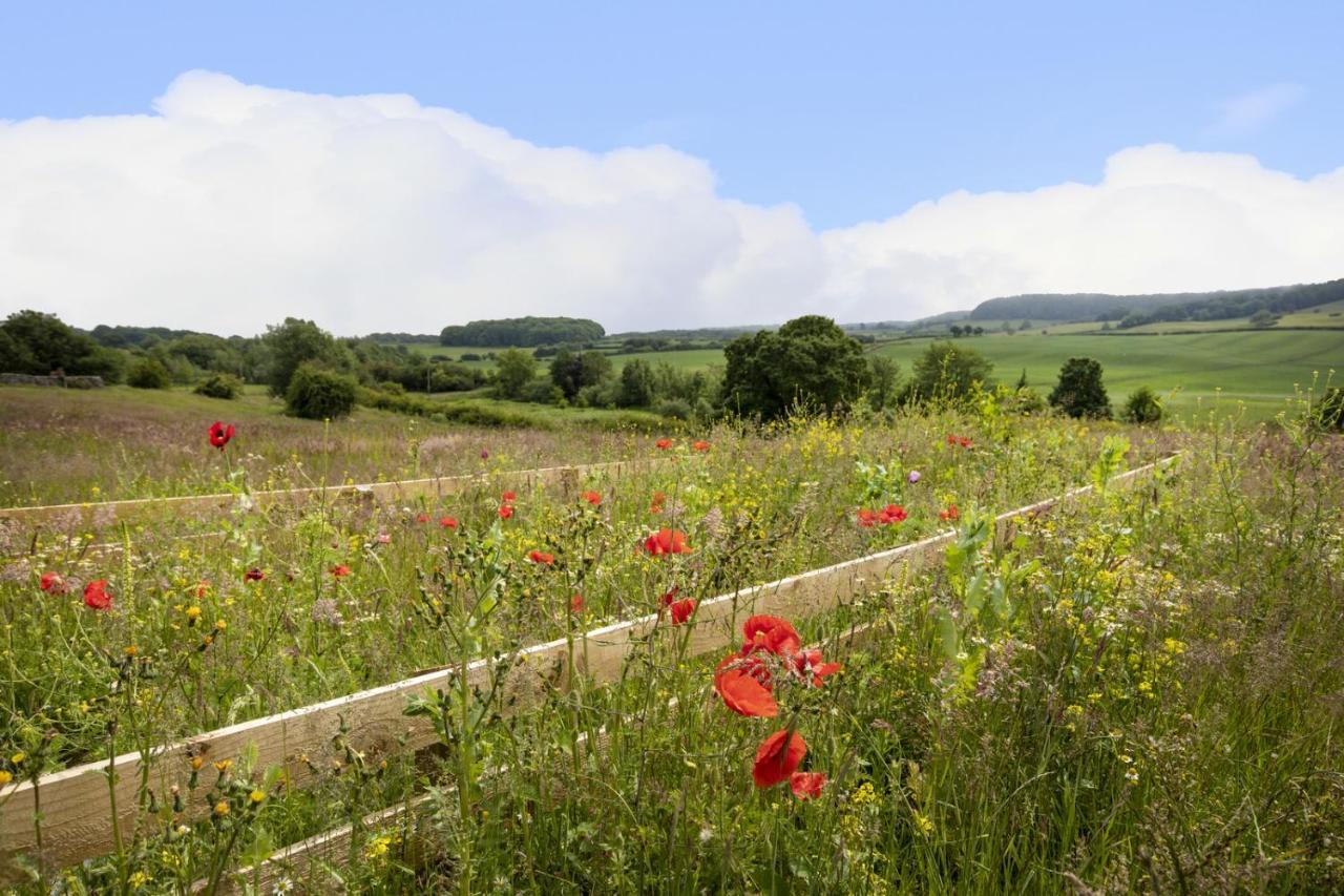 Thirley Cotes Farm Cottages سكرابورو المظهر الخارجي الصورة